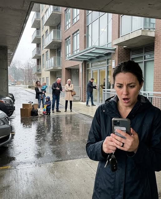 He kokeilivat Condo Key jälkeen myin sen satu Michael USA